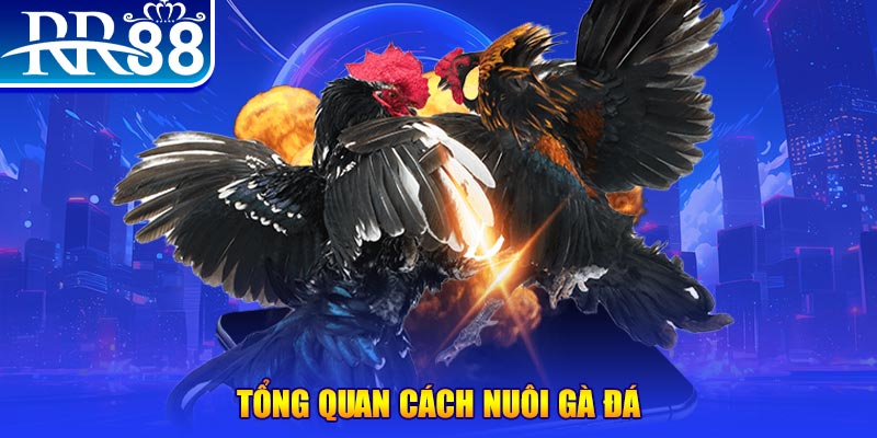 w 88 tai game bai ve may