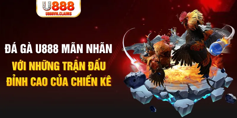 w 88 nỗ hủ là gì