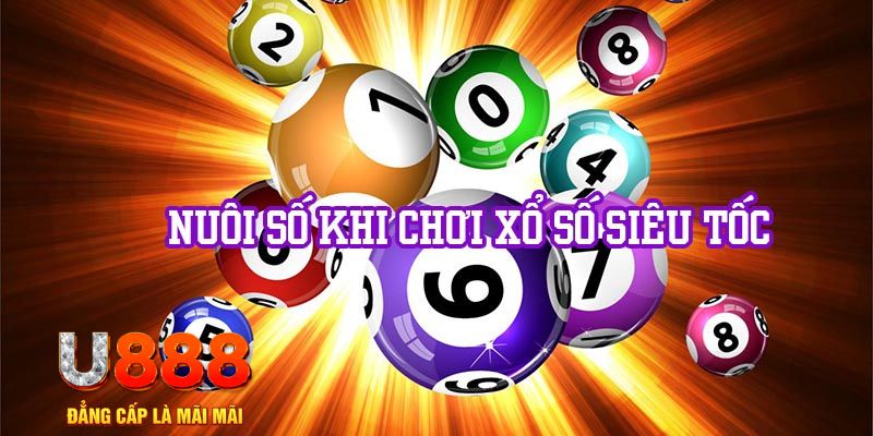 w 88 Ws168 Đá Gà