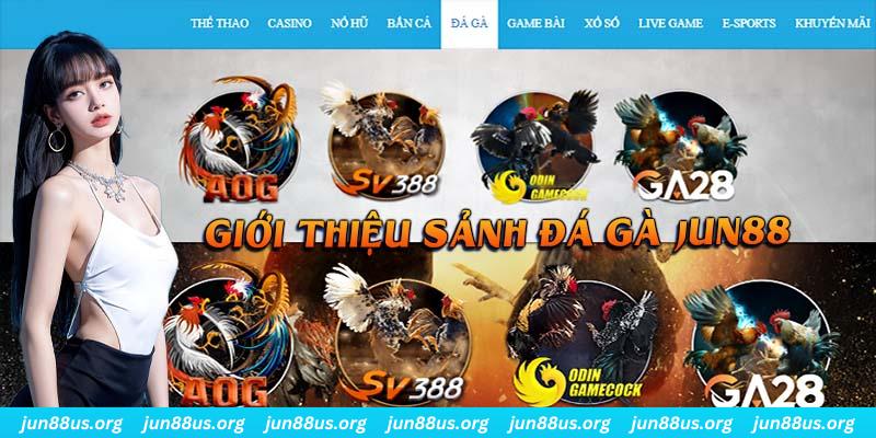w 88 tỷ lệ cá cược châu á là gì