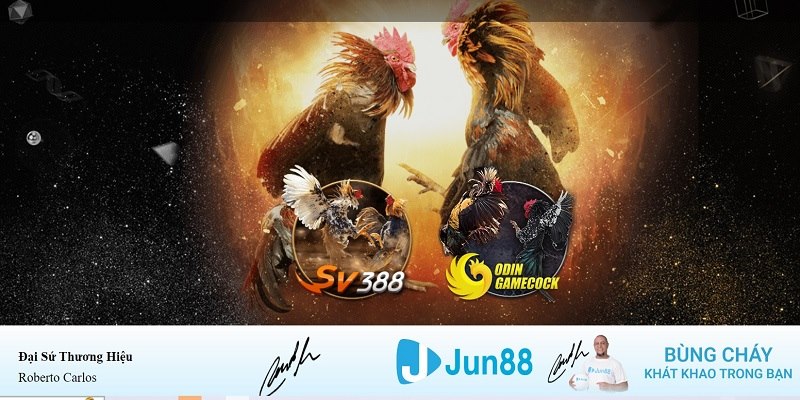 w 88 xổ số miền nam thứ bảy hàng tuần