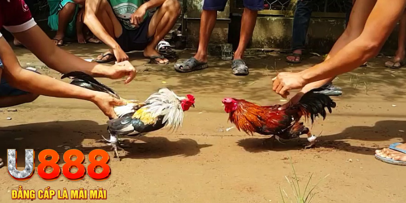 w 88 quay nổ hũ là gì