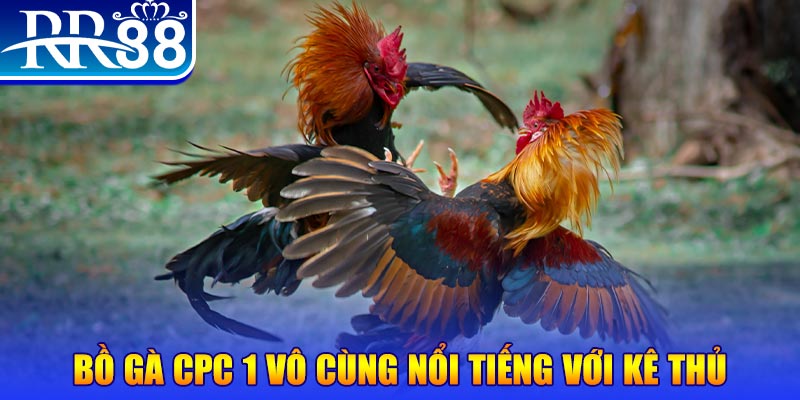 w 88 xổ số miền bắc thứ tư
