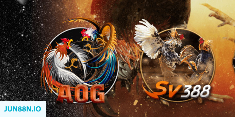 w 88 gà chọi cầu thang