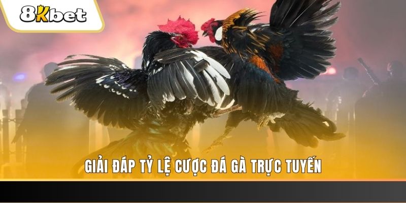 w 88 quay thử xổ số miền nam