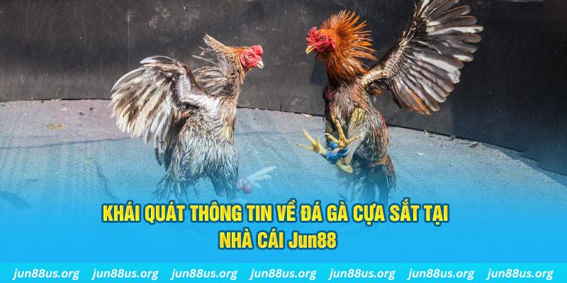 w 88 trực tiếp đá gà hôm nay