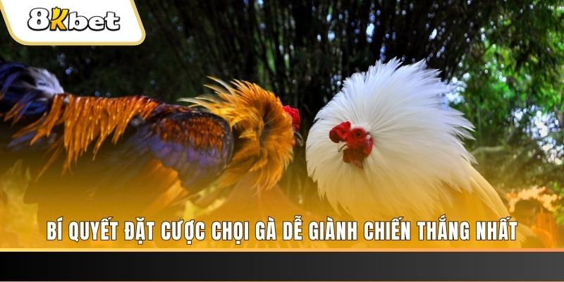 w 88 Giành Chủ Bull Bull